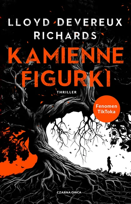 Kamienne figurki 9788382527612