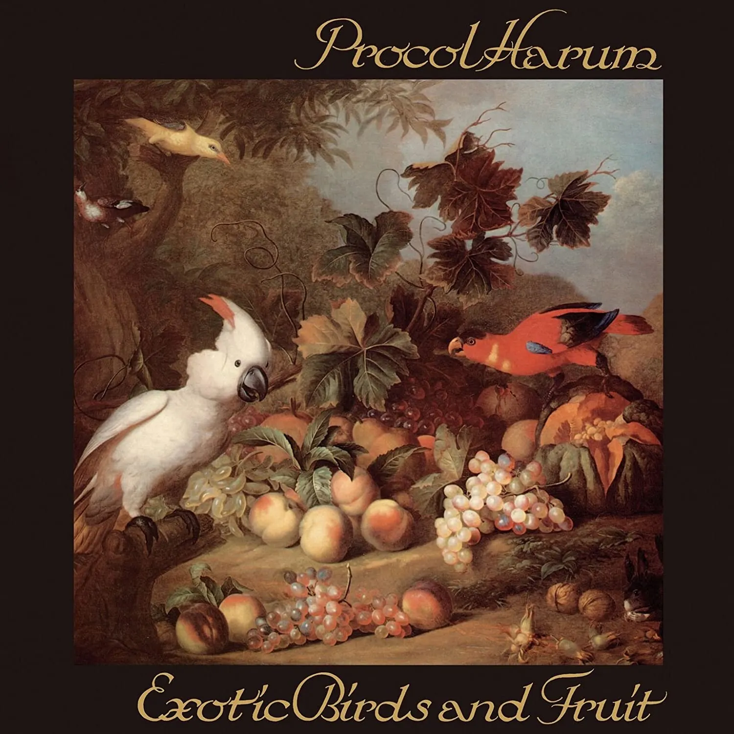 Exotic Birds And Fruit (3 CD Digipack Edition)  5013929473348