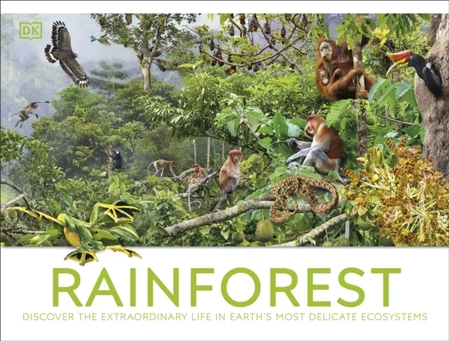 Rainforest  9780241716427