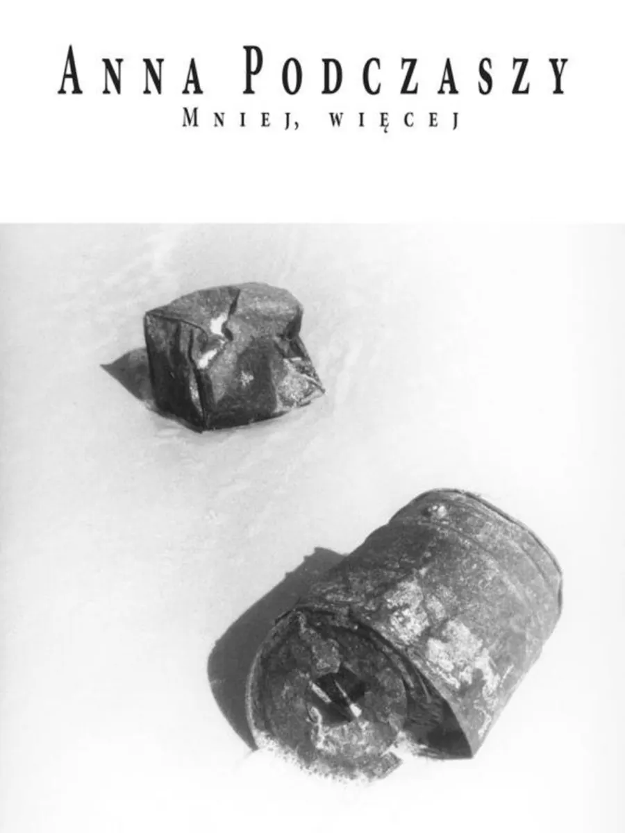Mniej, więcej 9788365358226
