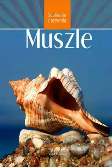 Spotkania z przyrodą. Muszle 9788377633502