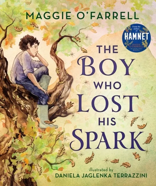 The Boy Who Lost His Spark  9781406392012