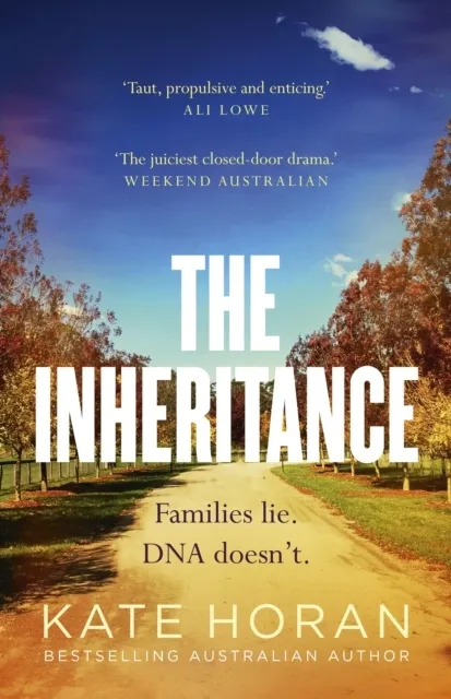The Inheritance  9781038965875