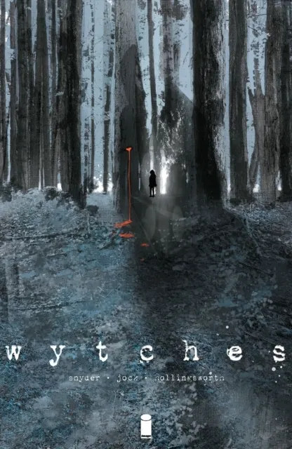 Wytches, Volume 1  9781632153807