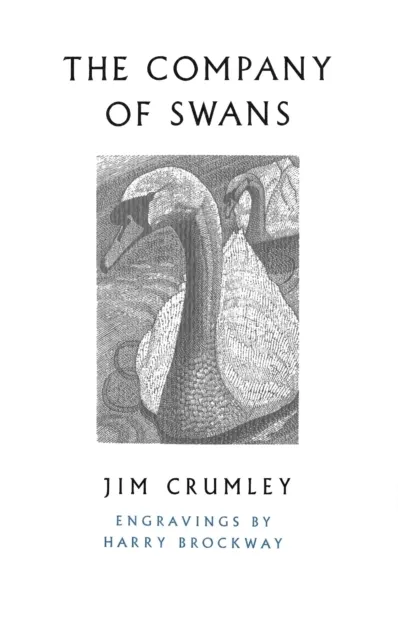 The Company of Swans 9781787300620