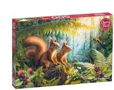 Puzzle 500 This One Moment  5903728720333