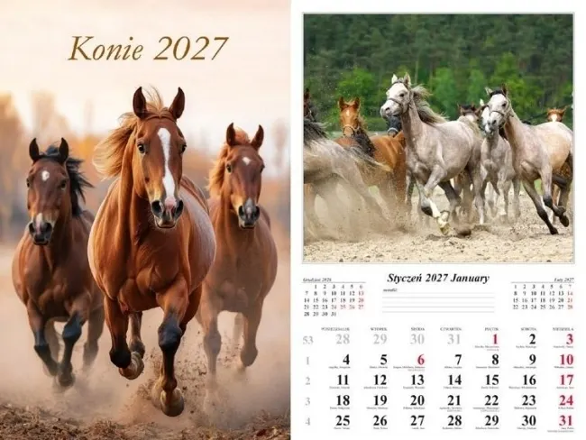 Kalendarz 2027 ścienny Konie  5906667514384