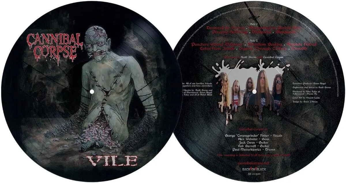 Vile (Picture Vinyl)  803341637191