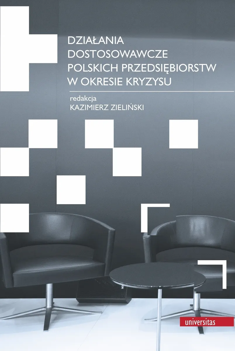 Działania dostosowawcze polskich przedsiębiorstw w okresie kryzysu 9788324218738
