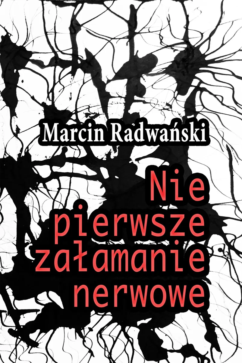 Nie pierwsze załamanie nerwowe (e-book) 9788381665452