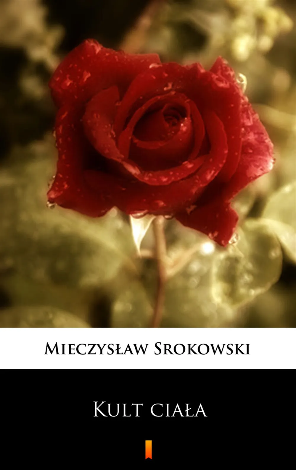 Kult ciała. Dziennik człowieka samotnego (e-book) 9788379034505