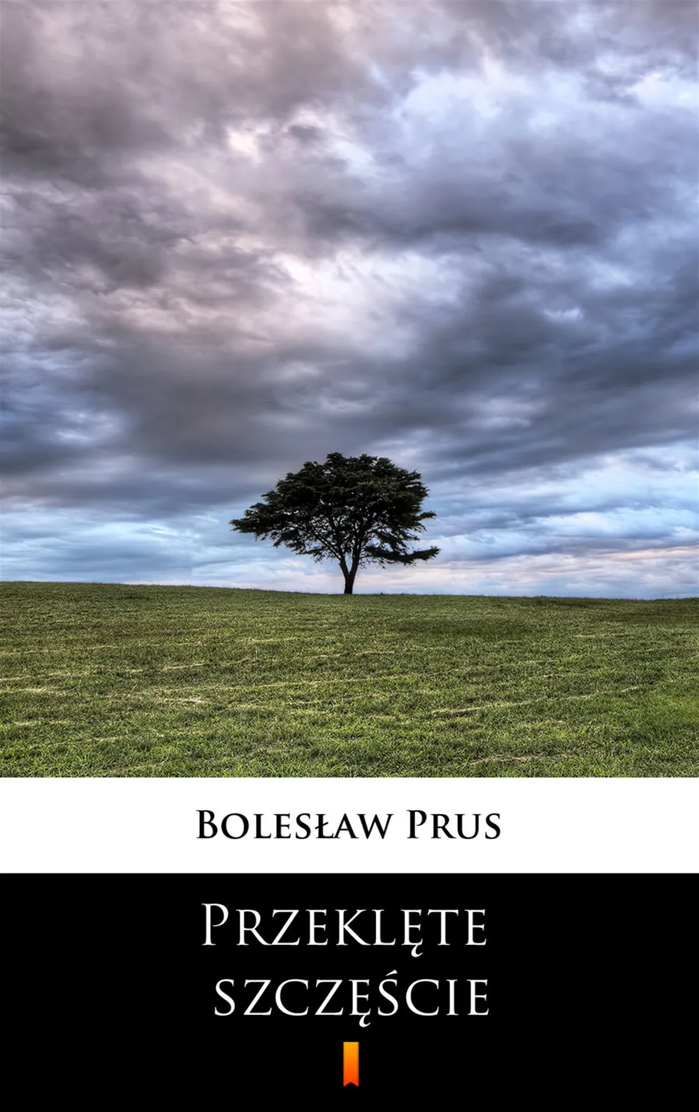 Przeklęte szczęście 9788379033966