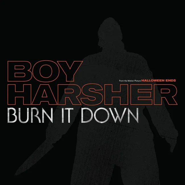 Burn It Down (Orange Vinyl) 843563156599