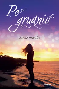 Po grudniu (e-book)