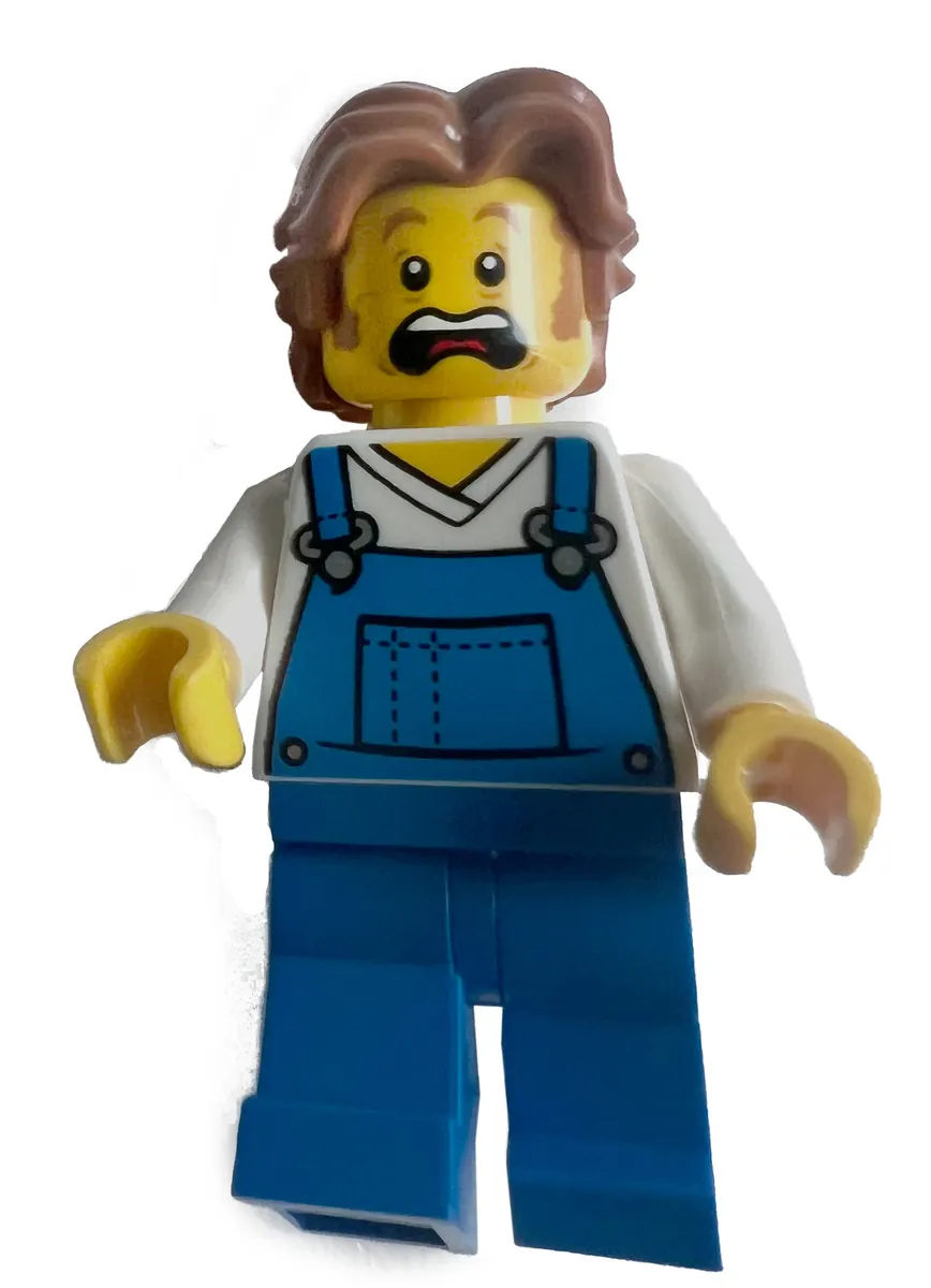 LEGO® Kreator światów. Buduj i baw się 9788329102315