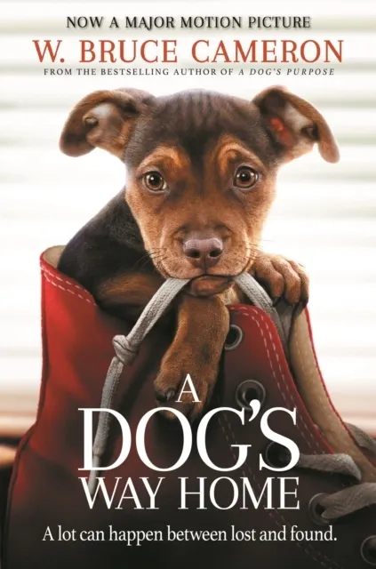 A Dog's Way Home  9781529002690