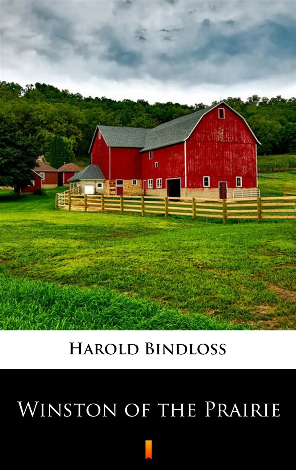 Winston of the Prairie (e-book) 9788381766678