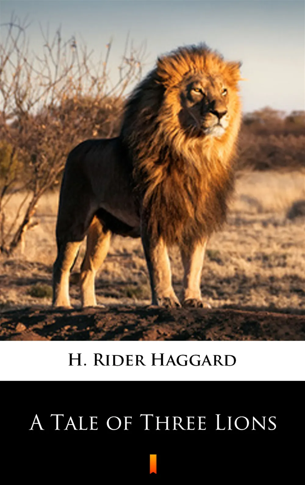 A Tale of Three Lions 9788381623599