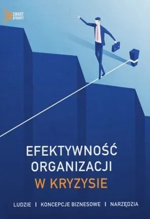 Efektywność organizacji w kryzysie  9788395628641