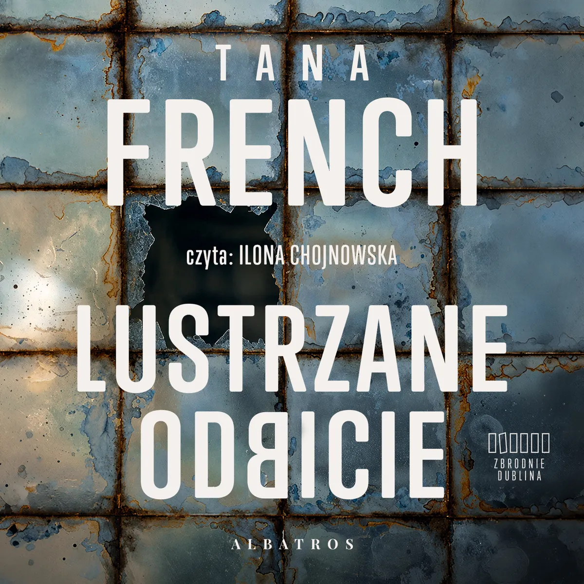 Lustrzane odbicie (plik audio) 9788384392003