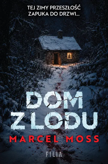 Dom z lodu 9788384417485