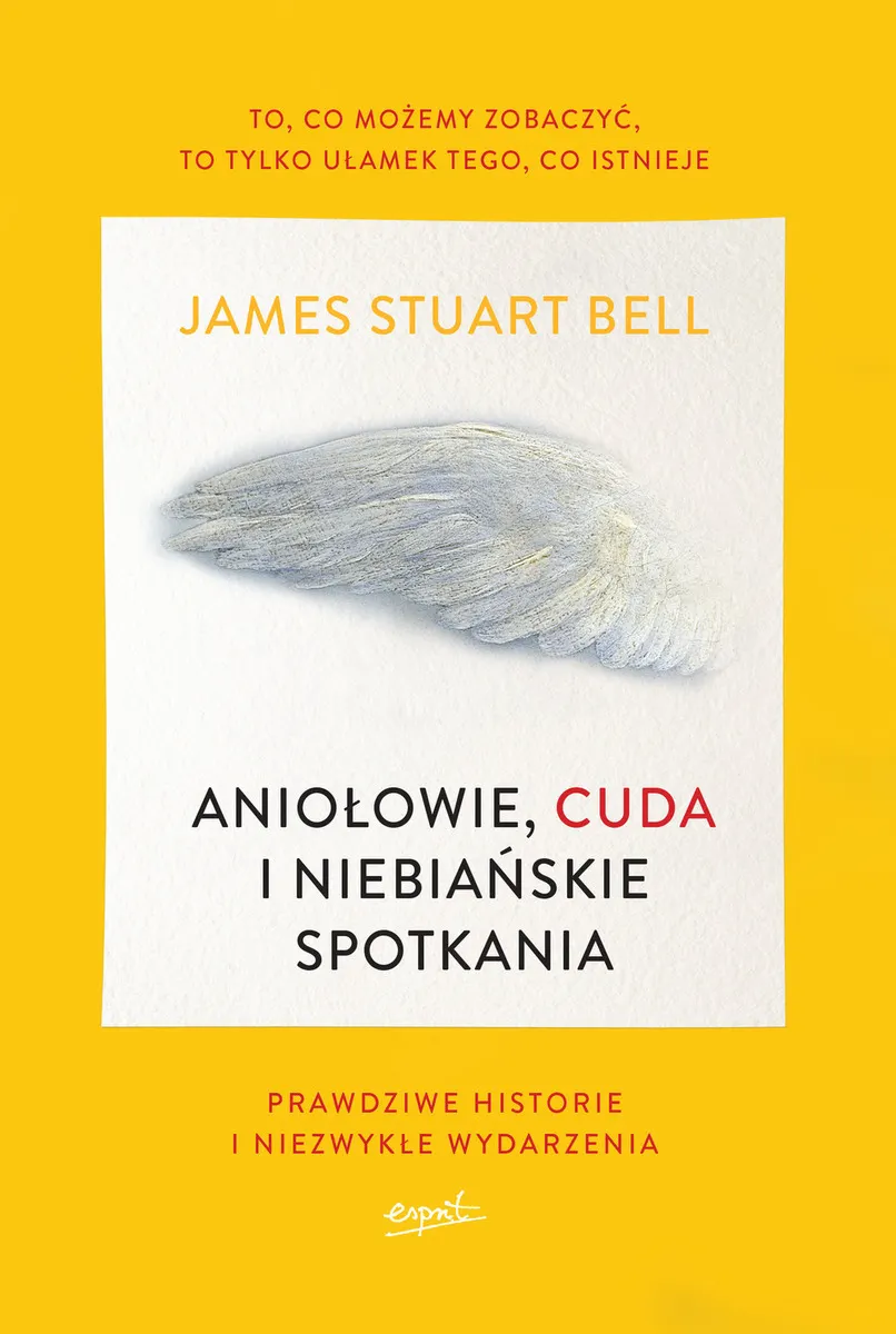 Aniołowie, cuda i niebiańskie spotkania 9788365349842