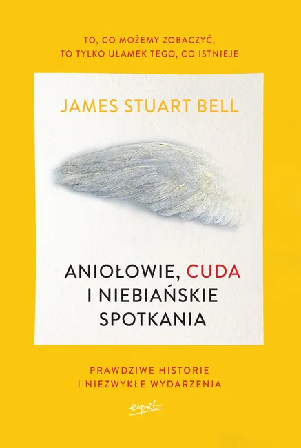 Aniołowie, cuda i niebiańskie spotkania 9788365349842