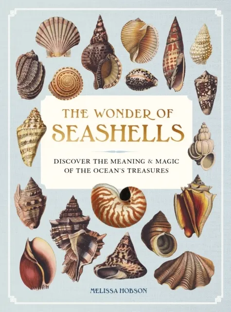 The Wonder of Seashells 9781577155126