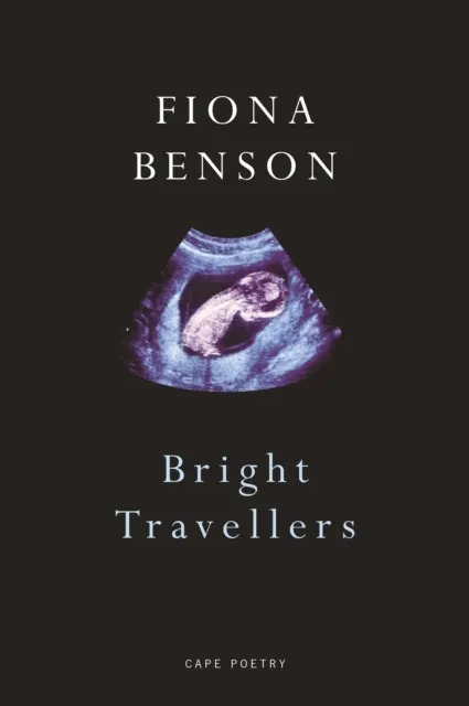 Bright Travellers  9780224099493