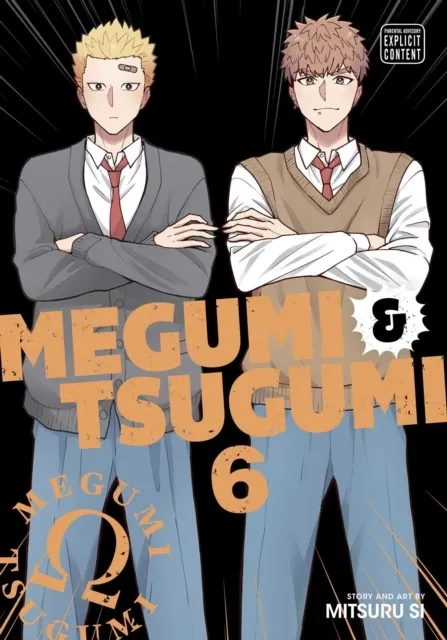Megumi & Tsugumi, Vol. 6  9781974755509