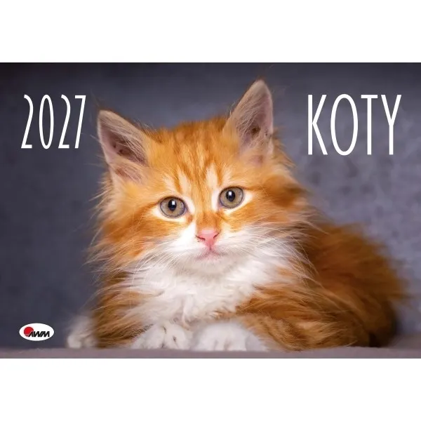 KALENDARZ 2027 KOTY ALBUMOWY A4 9788381817257