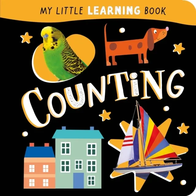 Counting (Board book)  9781835097113
