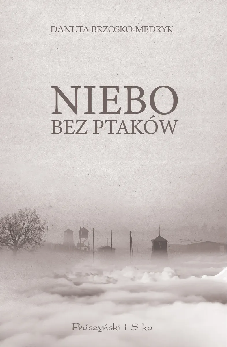 Niebo bez ptaków 9788382957426
