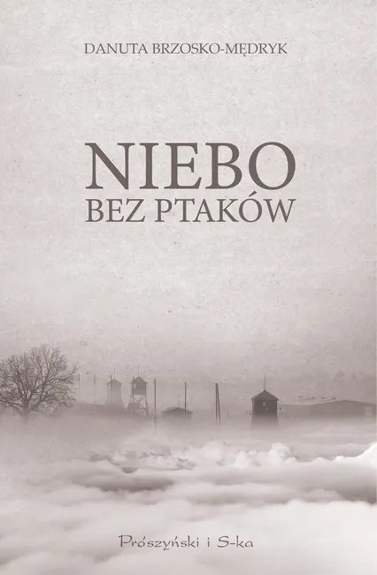 Niebo bez ptaków 9788382957426