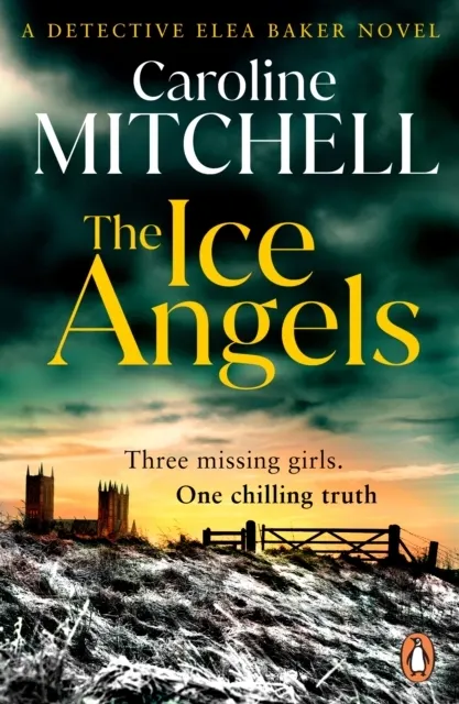 The Ice Angels  9781804955284