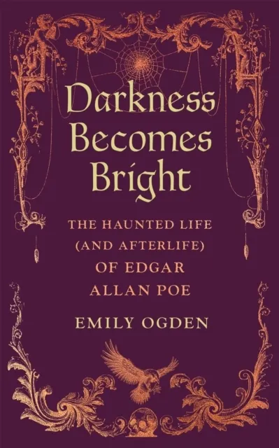 Darkness Becomes Bright  9781037408267