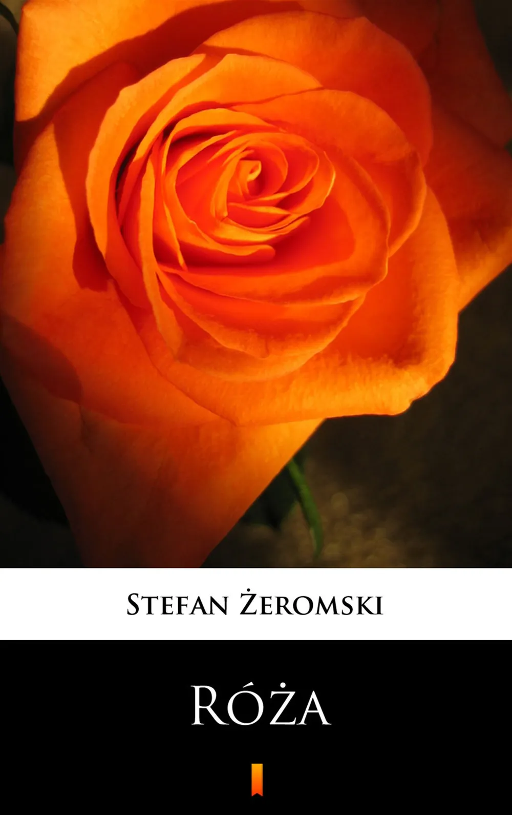 Róża. Dramat niesceniczny 9788379038138