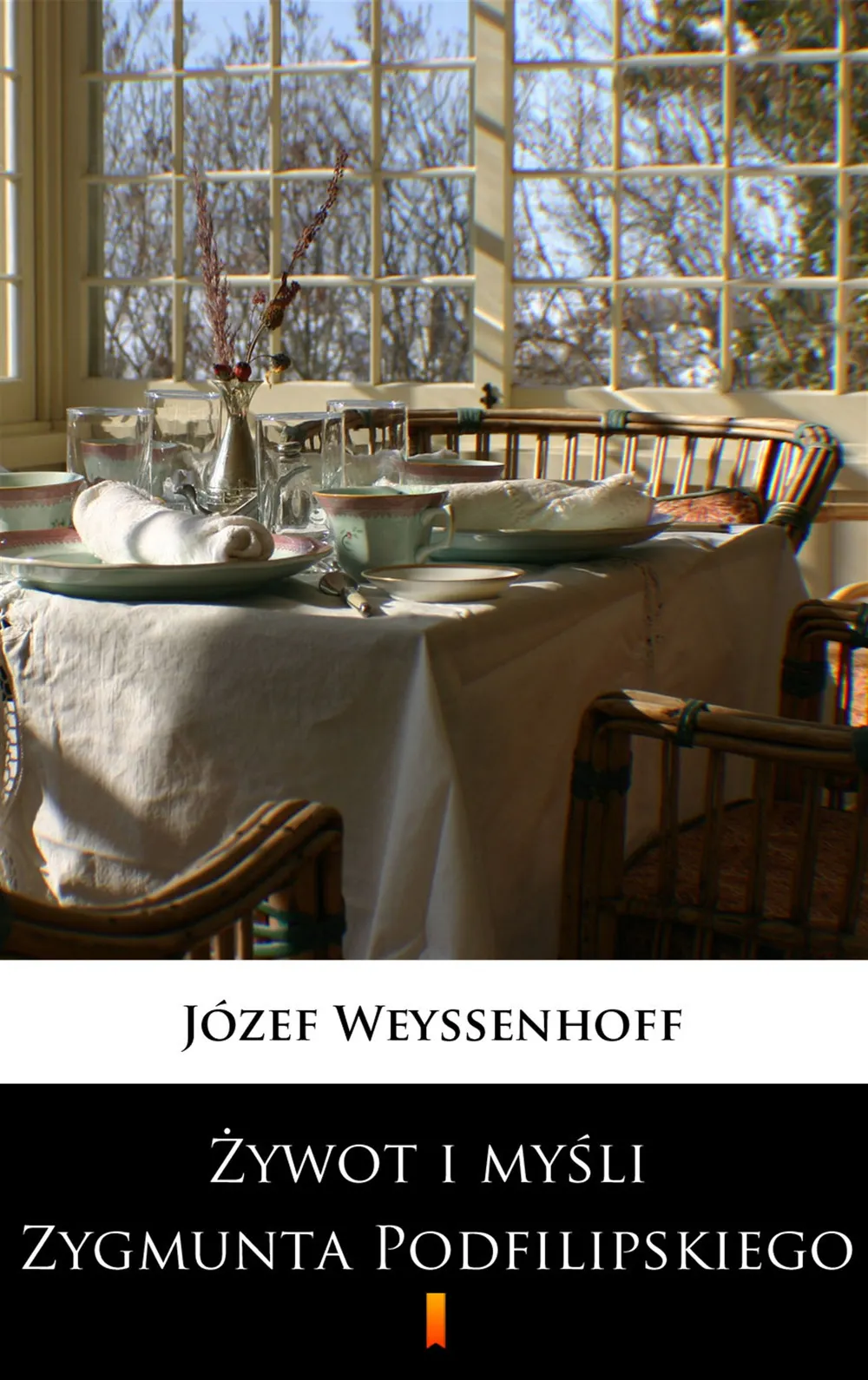 Żywot i myśli Zygmunta Podfilipskiego 9788379039920