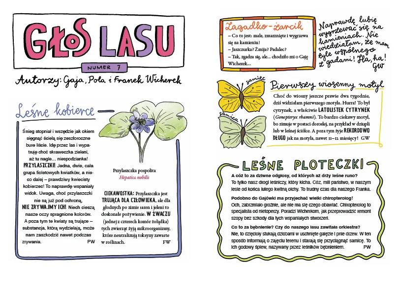 Leśna Zgraja. Gaja z Gajówki. Tom 5 9788384173558