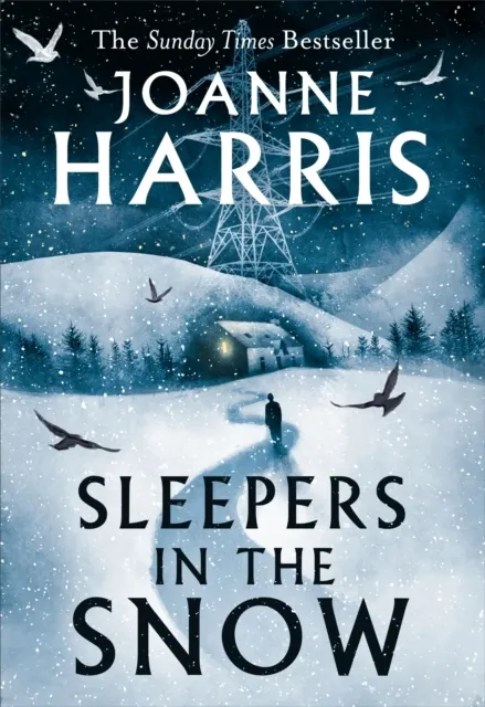 Sleepers in the Snow  9781399604796