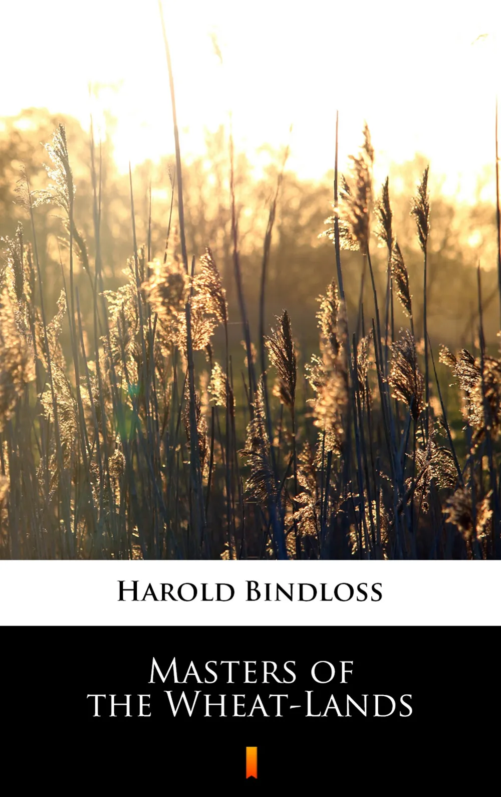 Masters of the Wheat-Lands (e-book) 9788381766777