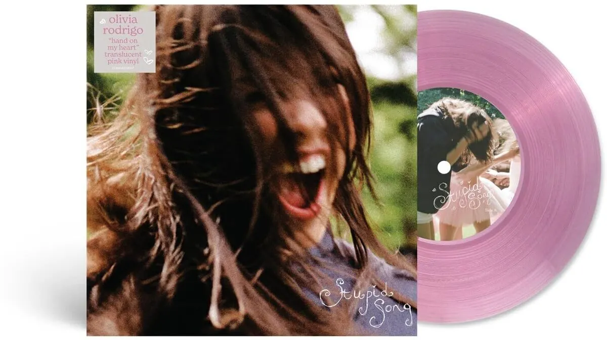 Stupid Song (Pink Translucent Single Vinyl)  0881061216537