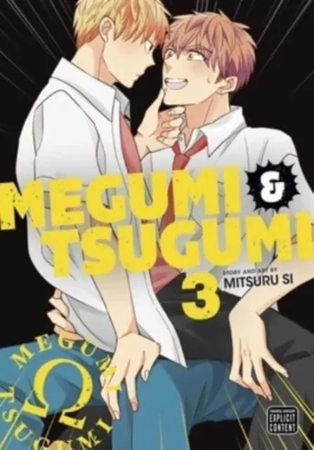 Megumi & Tsugumi, Vol. 3  9781974738892
