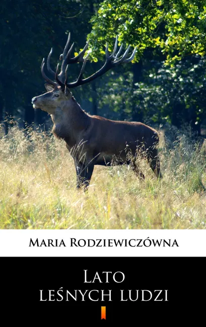 Lato leśnych ludzi 9788379032730