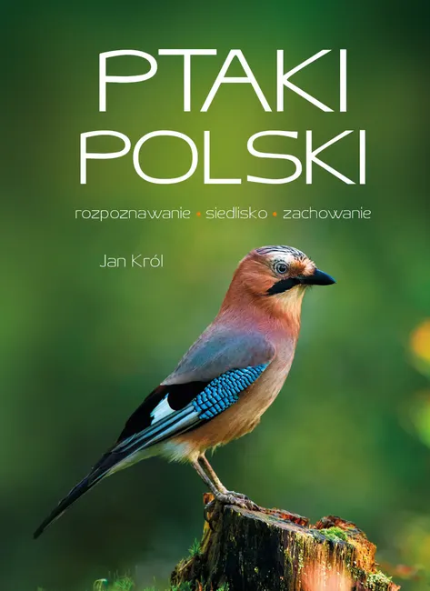 Ptaki Polski 9788383487472
