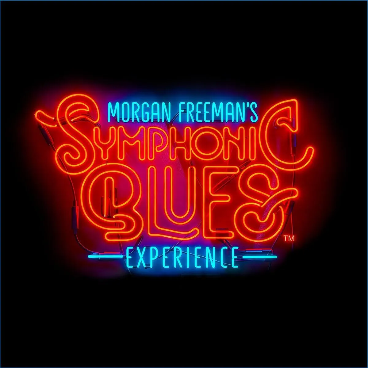 Morgan Freeman's Symphonic Blues Experience (Vinyl)  0028948723409