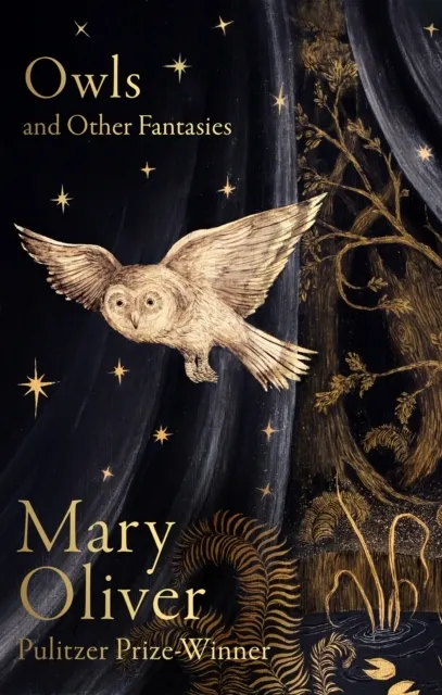 Owls and Other Fantasies  9781472160935