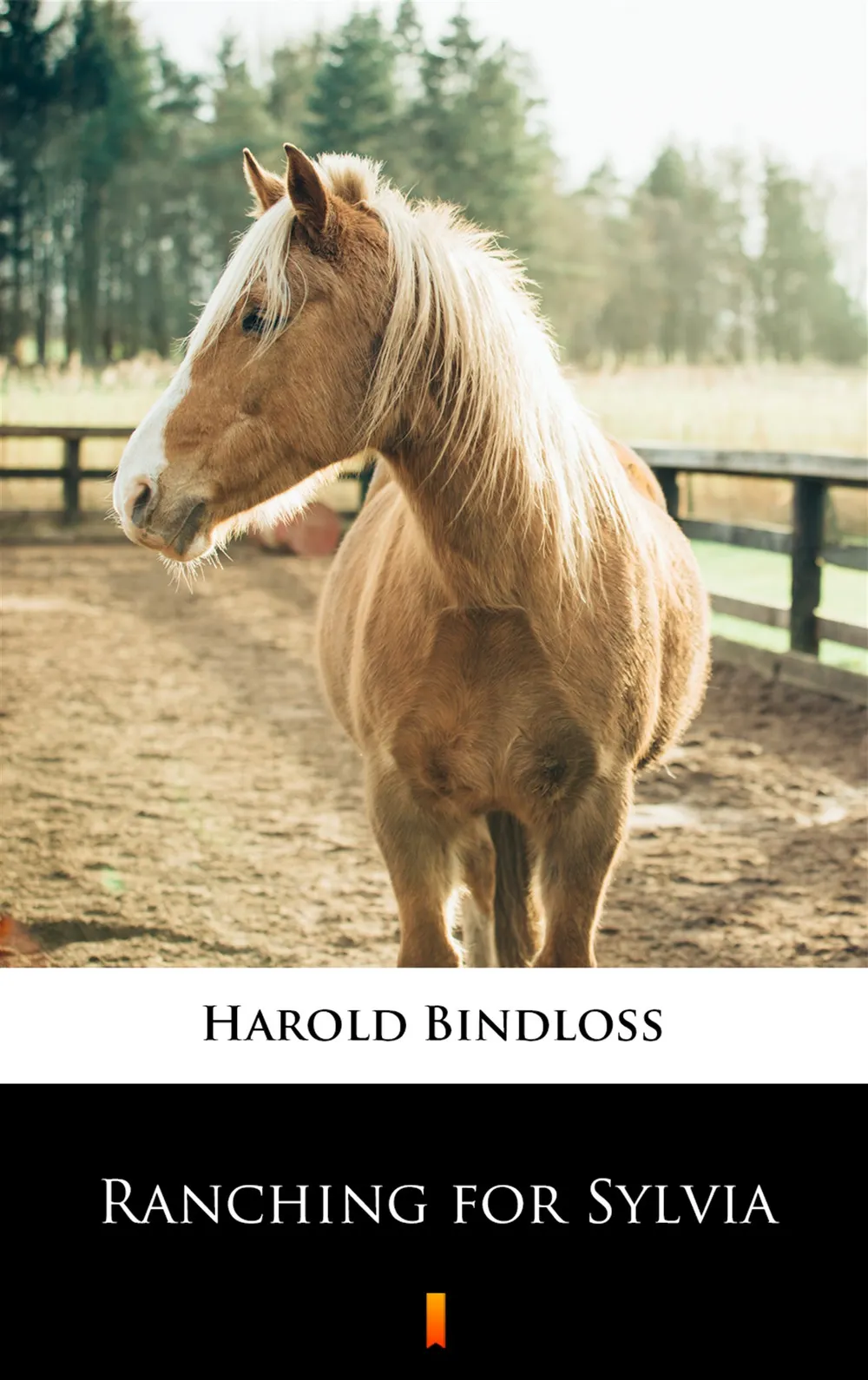 Ranching for Sylvia (e-book) 9788381767163