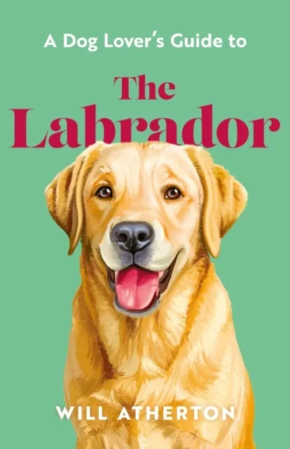 The Labrador  9781399643009