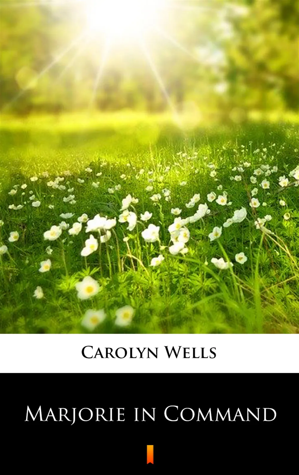 Marjorie in Command (e-book) 9788382006995